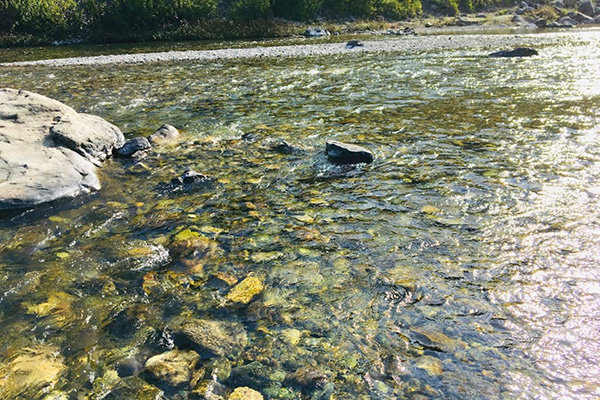 Rishikesh Riverside Resort with Swimming Pool