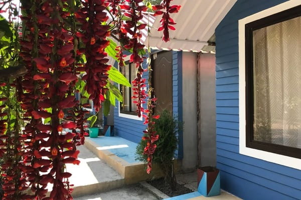 Riverside AC Cottages in Rishikesh